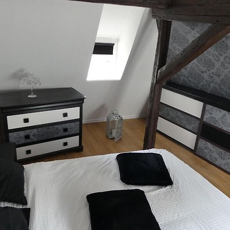 Appart Chaleureux Colmar Exterior foto