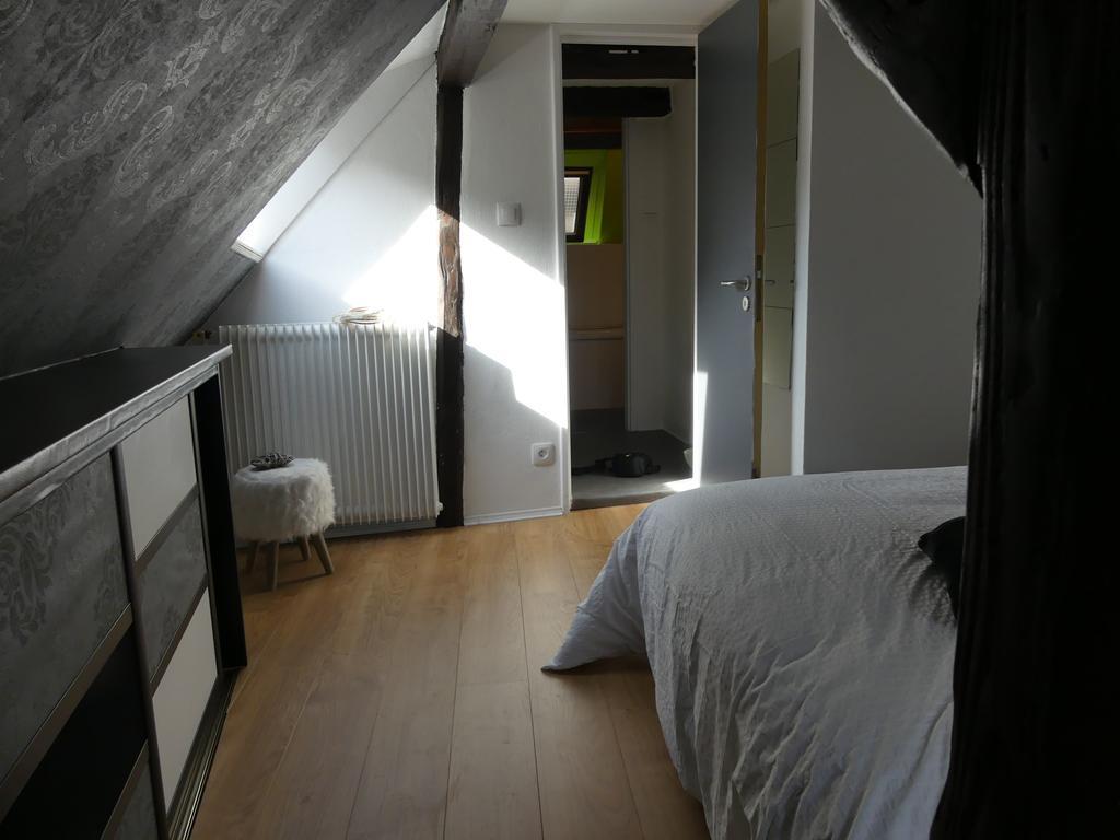 Appart Chaleureux Colmar Exterior foto