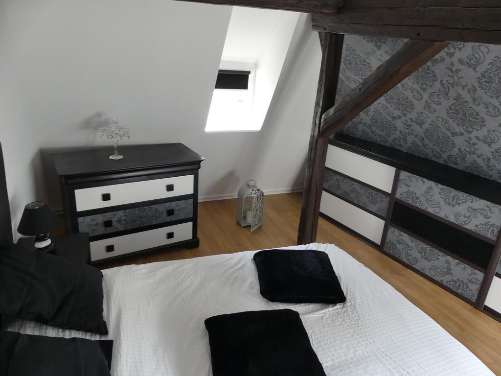 Appart Chaleureux Colmar Exterior foto